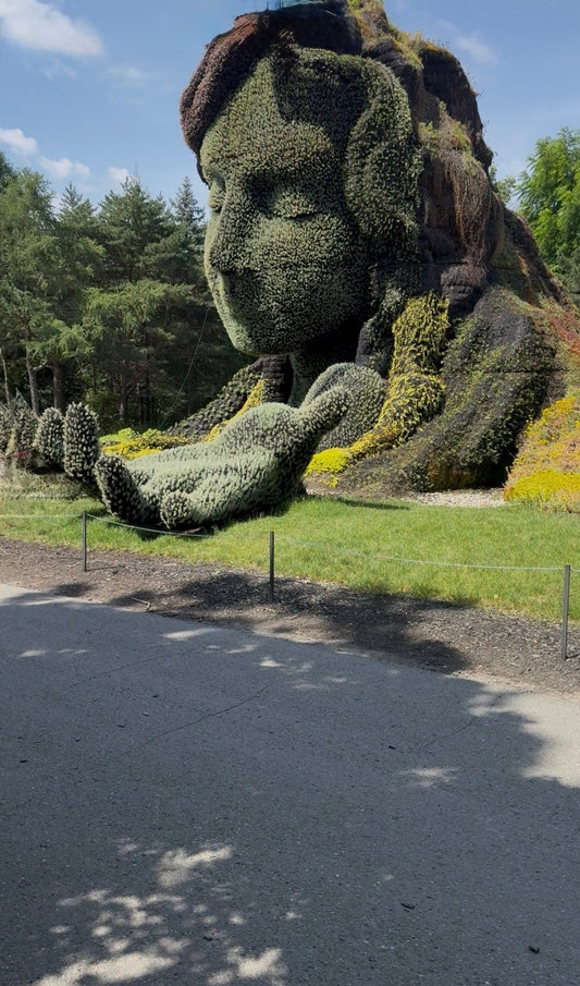 Moana Vibes in Canada